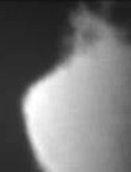 5_The_next_5_images_are_a_series_you_can_see_how_images_develop.jpg - 5 The next 5 images are a series you can see how images develop