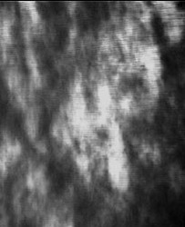 Half_top_of_the_face_of_a_man_Summer_2004_thumb.jpg - Half top of the face of a man Summer 2004